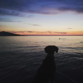 insta_1